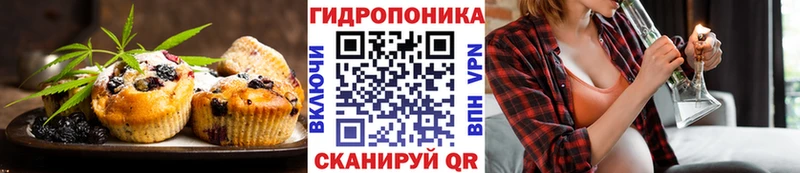 Cannafood конопля  где найти   Архангельск 