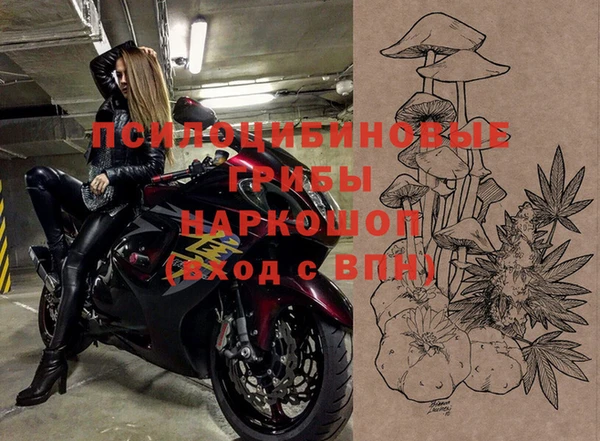 гашик Новокубанск