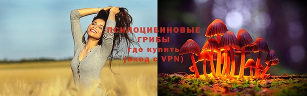 гашик Новокубанск