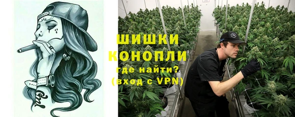 гашик Новокубанск
