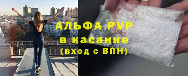 гашик Новокубанск