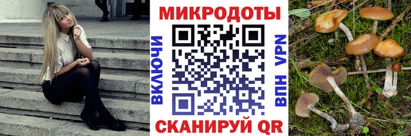 Галлюциногенные грибы Magic Shrooms  цены   Архангельск 