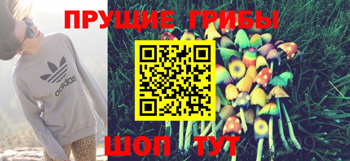 Псилоцибиновые грибы Psilocybine cubensis Архангельск
